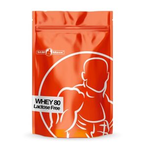 Whey 80 Lactose Free - Still Mass  1000 g Double Chocolate