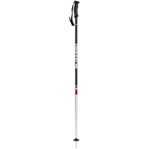 BLIZZARD-Rental ski poles Mix 115 cm 20/21